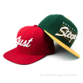 Cap snapback del logo da ricamo 3d
